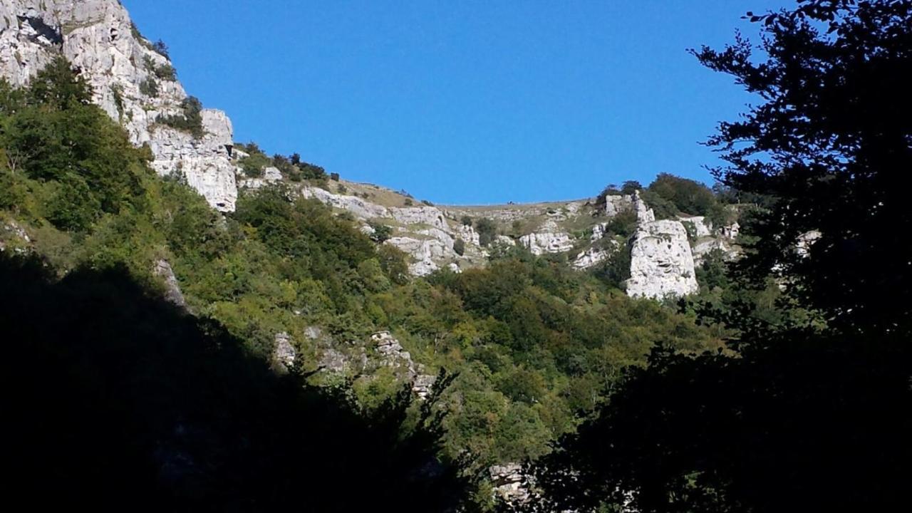 Apartamentos Rurales Imaz Etxea - Urbasa Olazagutía 客房 照片